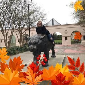 Meet your Posher, Ann